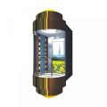 Titanium Gold Glass Sightseeing Capsule elevadores elevadores