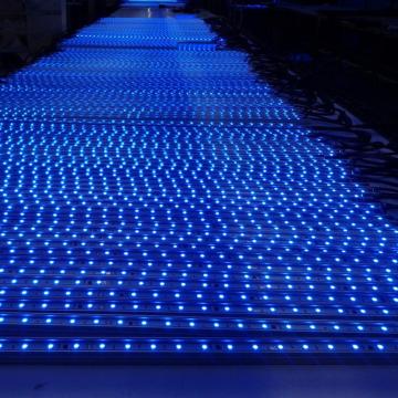 Controlar individualmente a luz de LED DMX Pixel Bar