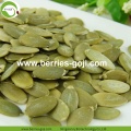 Supply Raw Dried Shine Skin Pumpkin Seed Kernels