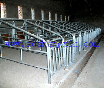 Limit Sty For Galvanized Pipe?