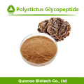 Coriolus versicolor Extracto Polystictus Glycopeptide Powder