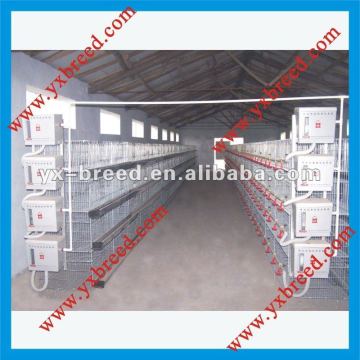 H type fowl breeding cage