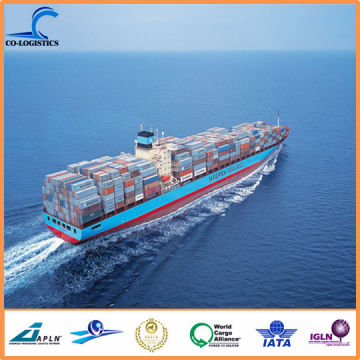 Professional Import Ocean Freight to USA Service