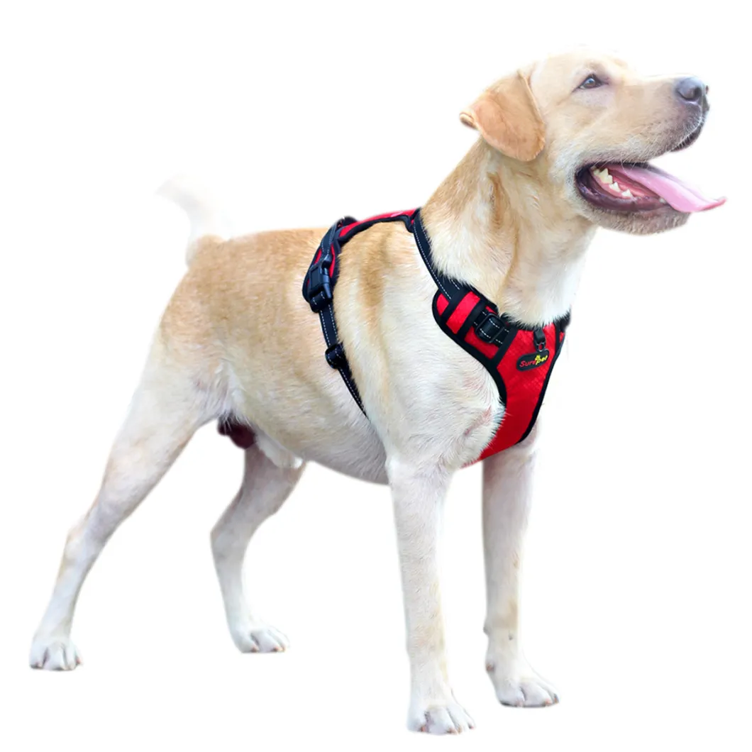 Reflective and Waterproof Fashionable Dog Harness Easy on and off