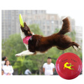 Chien Frisbee Flying Disc Training Fetch Jouet pour animaux de compagnie