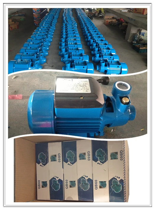 Peripheral Pump, Vortex Pump, Garden Pump, Surface Pump, Domestic Pumps