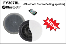 Professional Water Resistant Round Sub-Woofer Bluetooth Ceiling Speaker
