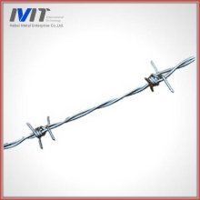 MT IOWA--Light galvanised barbed wire for south afraic market
