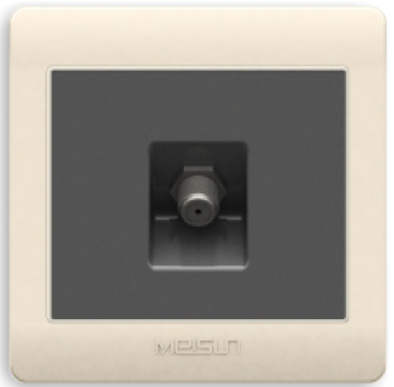 BS stander one gang satelite socket