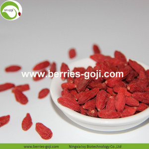 Varieti Bekalan Kilang Produk Pukal Goji Berry