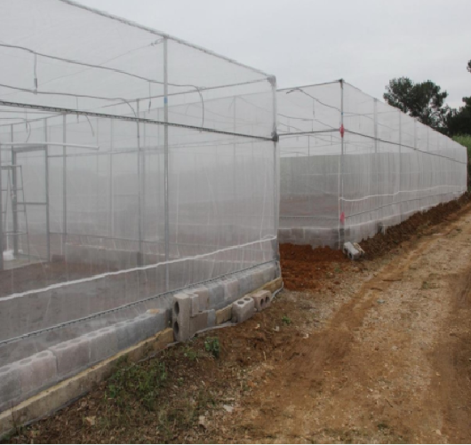 Rede plástica agrícola do inseto do anti afídio