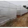 Agricultural Plastic Anti Aphid Insect Netting