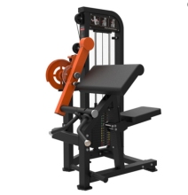Factory Price Commercial Bicep Curl and Triceps Press Machine