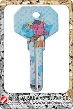 Color Painted Door Blank Key