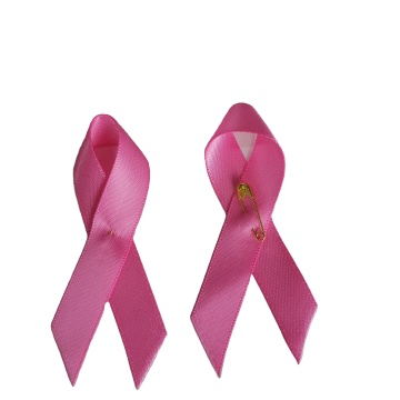 Pink Satin Breast Cancer Awareness Ribbon Charms Wholesale
