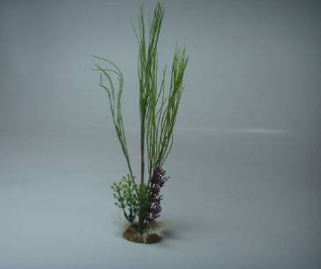 disposable plastic spoon