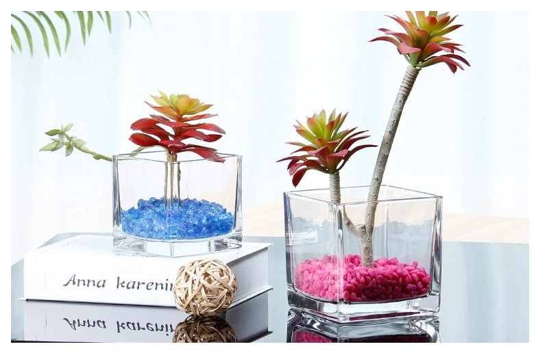 Manufacturers Customize Various Household Clear Glass Vases with Different Specifications