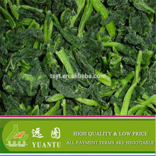 Natural Fresh Frozen Spinach For Sale
