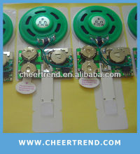 recordable music chip/recordable music module