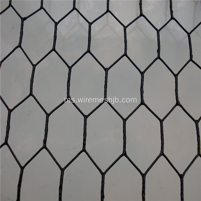 Mesh Wire Hexagonal