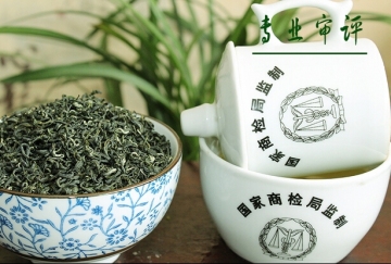 Tulsi tea oganic Maofeng tea Direct Manufacturer certified by IMO NOP BRC online shopping