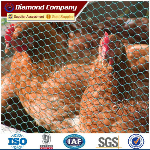 Diamond brand galvanized poultry mesh