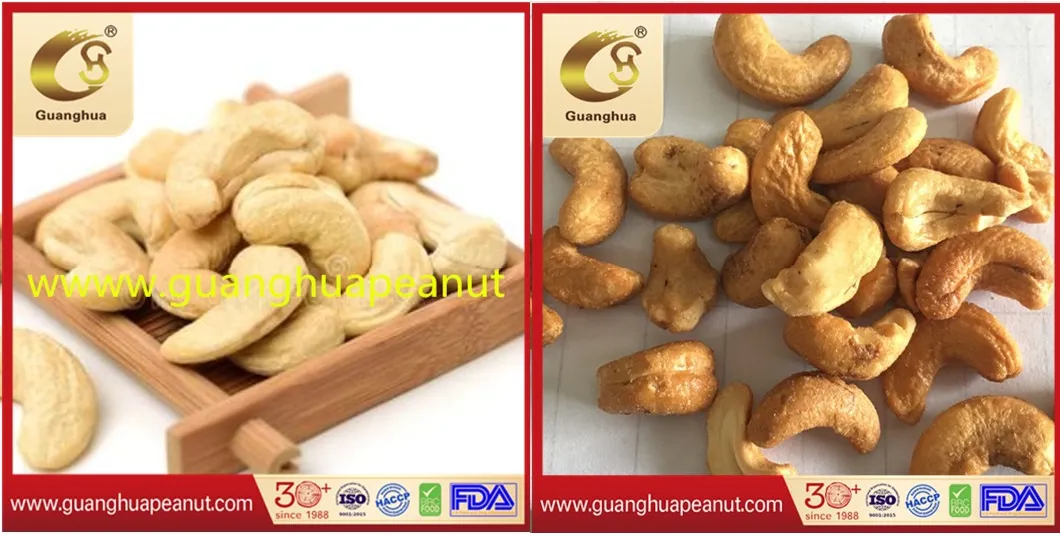 New Crop Delicious Roasted and Salted Cashew Good Quality with Skin