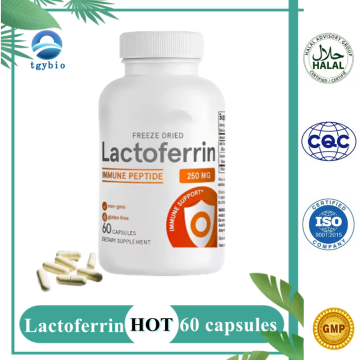 OEM Lactoferrin capsules High Purity Maintains gut health Bovine Colostrum Supplements