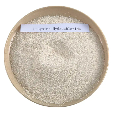 OEM L-lysine Hydrochloride powder bulk