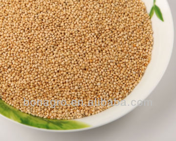 White millet birdseed