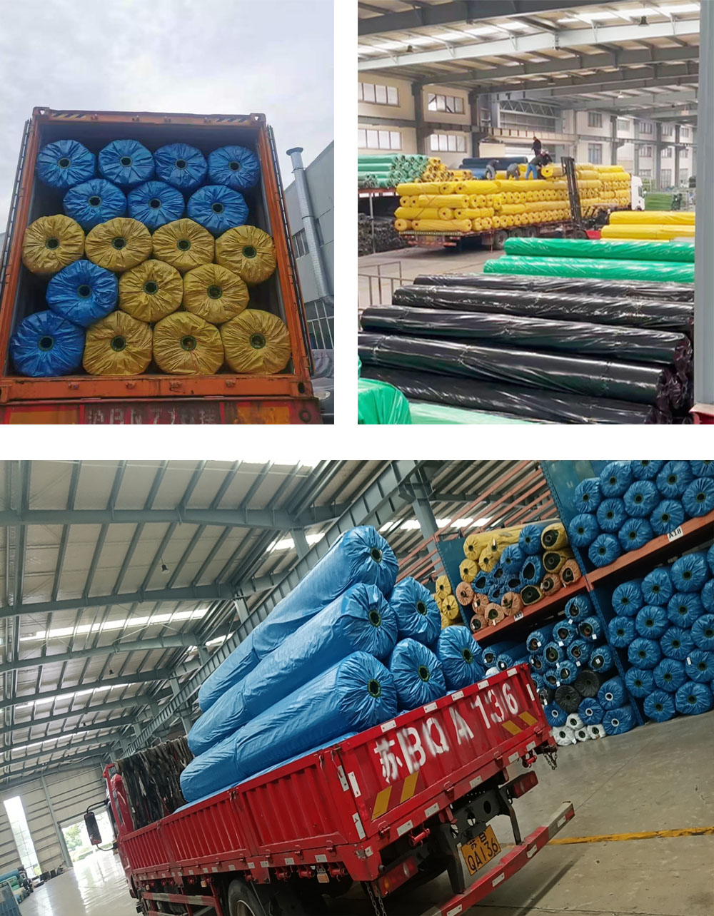 nome padrão default name