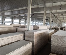 BC Grade Oak Finger Joint Panel and AB Grade Oak FJP Boards