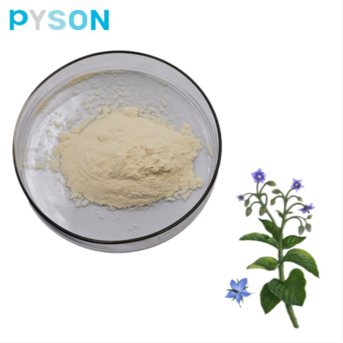 Borage Oil Powder CWD