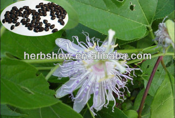 Passion Flowers seeds for planting