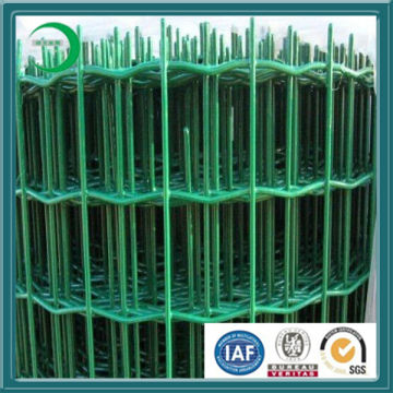 Wave Type Netting (XY-36)