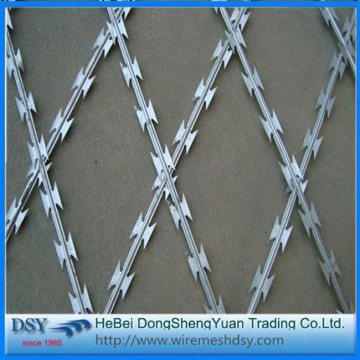 Snake-Shaped Razor Barbed Wire