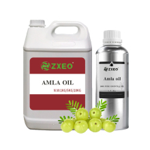 Best Quality Wholesale Supply 100% Pure Natural  Amla Essential Oil