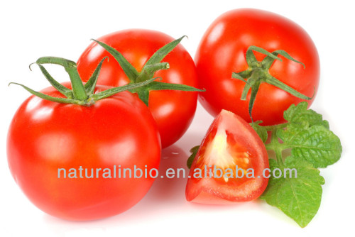 HALAL Approved Tomato Extract 5%-98% Lycopene