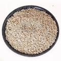 Perilla Seed Powder high quality