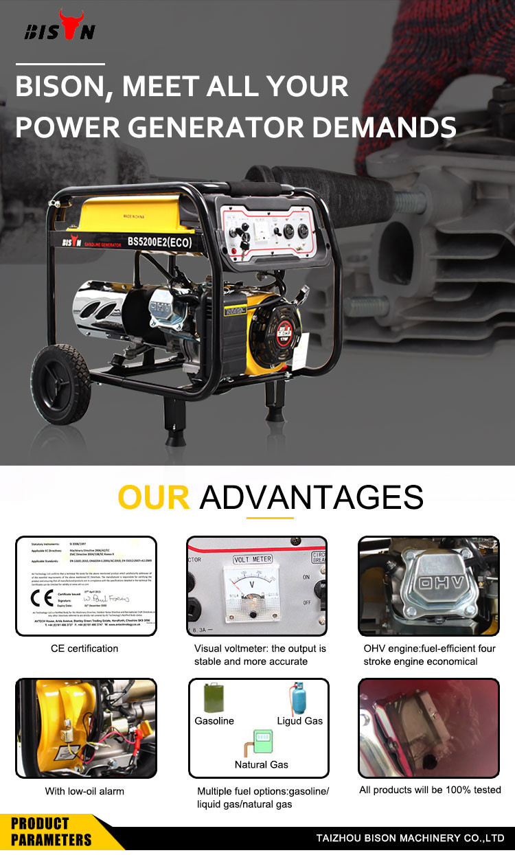 BISON CHINA 2000 watt Electric Start Gasoline Generator 2000w Petrol Generator 2kw Natural Gas Generator