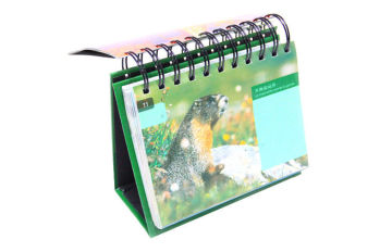 New Design Desk Calendar Printing Personalized Calendar Printing