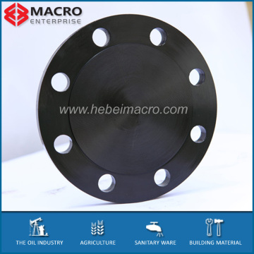 ANSI B15.6 Flange Blind type