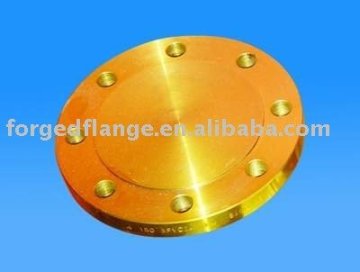 blind flange(bland flange)