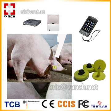 UHF RFID PIG TAG