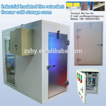 Industrial insulated fire retardant freezer cold storage room