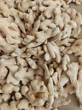 Dried Ginger Whole ginger