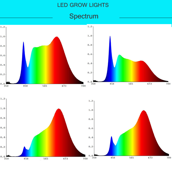 T8 LED Grow Light