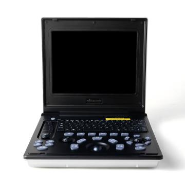 Ветэрынарнае ўльтрагукавое даследаванне для персідскай кошкі маткі