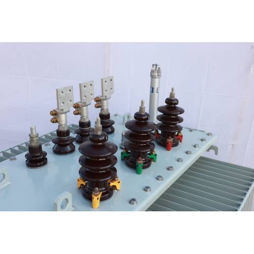 Eco-conscious S11 Oil Filled Transformer