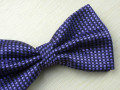 100% poliester Bowtie B-13